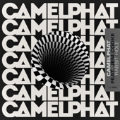 CamelPhat & Jem Cooke
