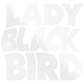 Lady Blackbird