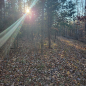 Oliver Anthony Music