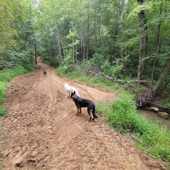 Oliver Anthony Music