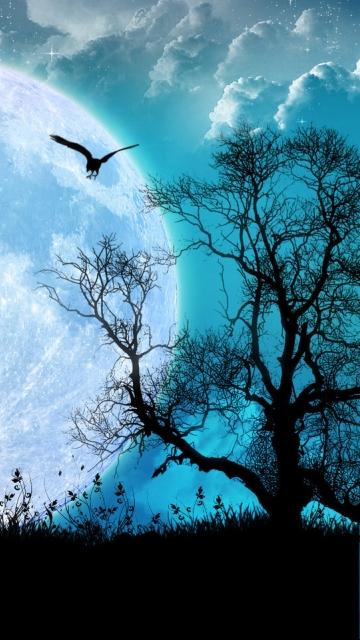 Earth Eagle Wallpaper Wallpaper